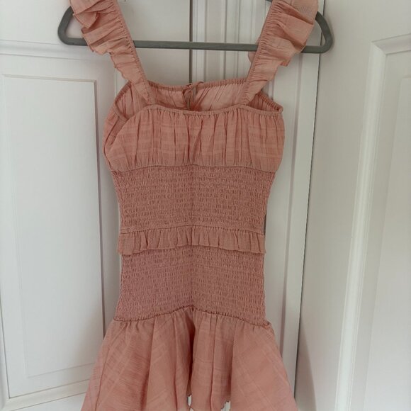 Tularosa Blush Pink Janine Mini Ruched dress - Picture 3 of 4